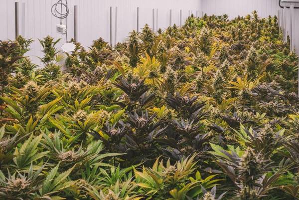 Slide background