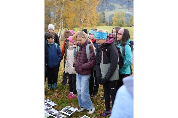 Slide background